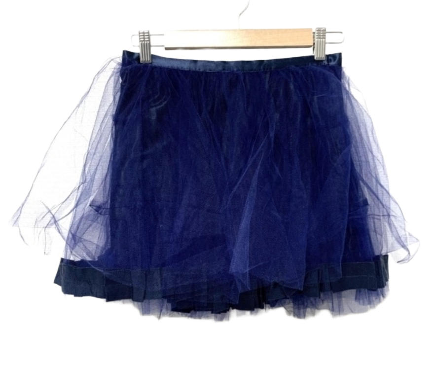 LANVIN en Bleu Tulle Blue Shorts