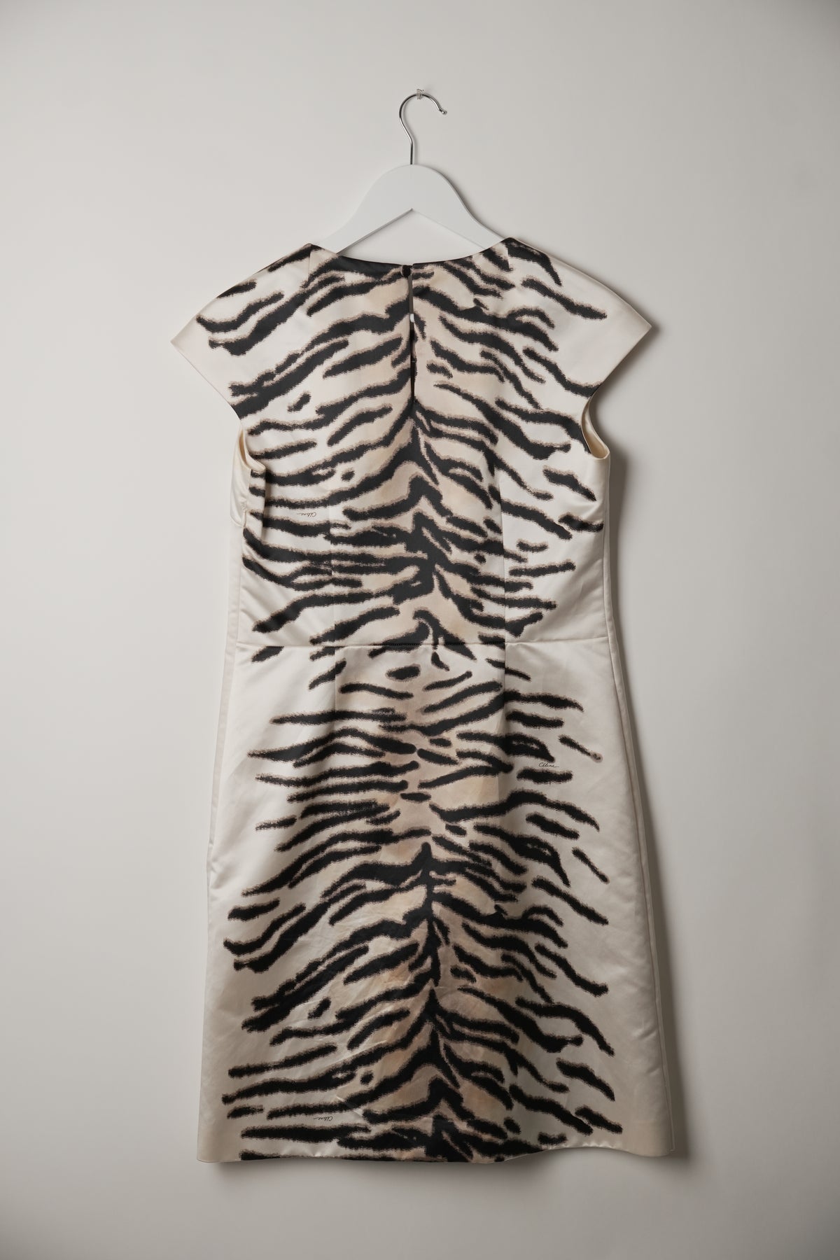Celine Silk Zebra Sless Dress