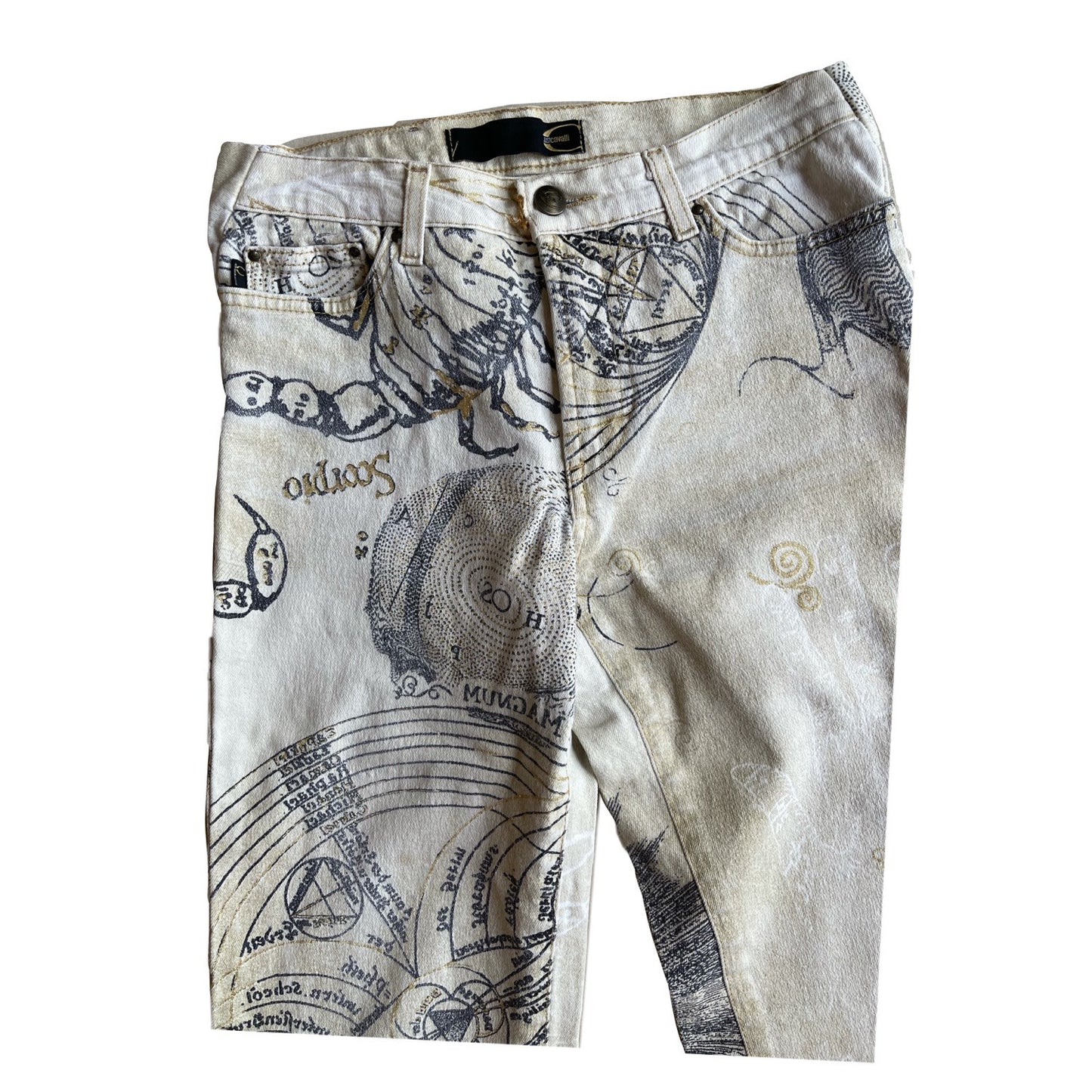 Roberto Cavalli Horoscope Glitter Print Denim Jeans