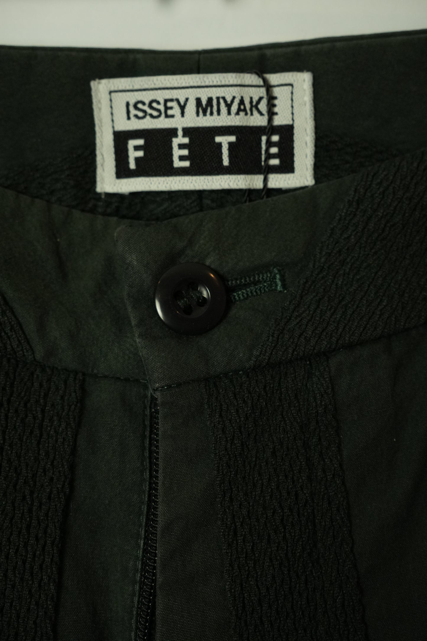 Issey Miyake Stripe Vertical Wide Leg Pants